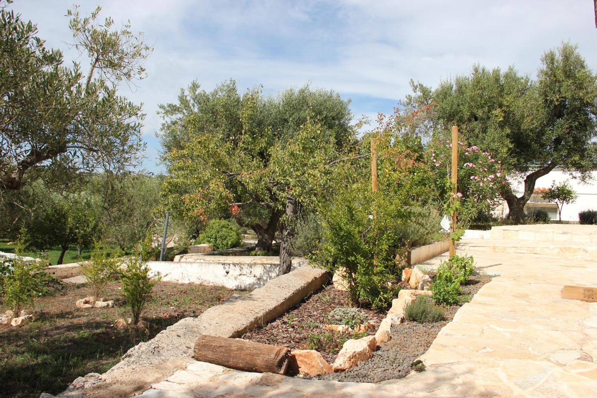 Ferienwohnung Le Terrazze Della Crianza Ostuni Exterior foto