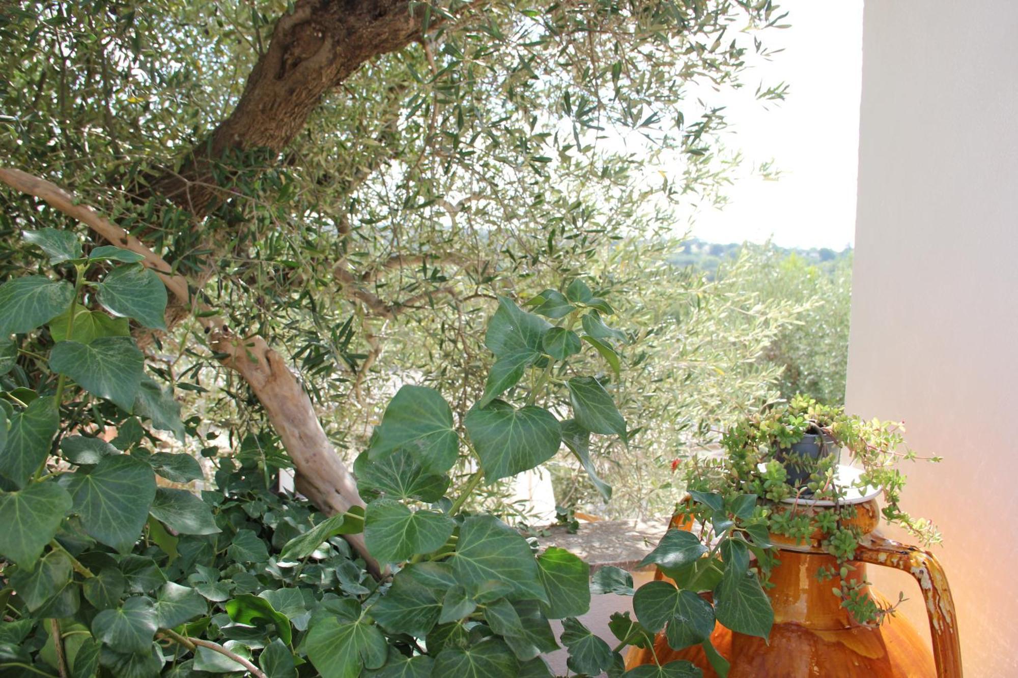 Ferienwohnung Le Terrazze Della Crianza Ostuni Exterior foto